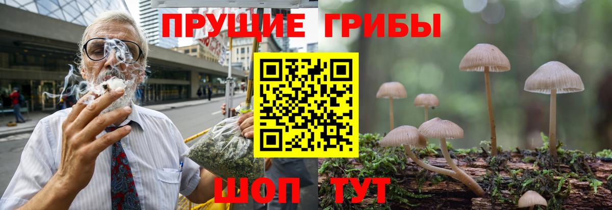 Щёлково  Псилоцибиновые грибы Psilocybe  Галлюциногенные грибы ЛСД  Вход с VPN 